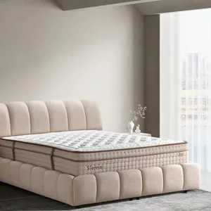 Zen Baza Başlık 2