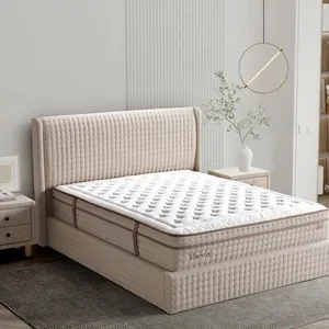 Sienna Baza Başlık 3